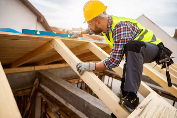 Best Roof Gutter Cleaning  in Livonia, MI