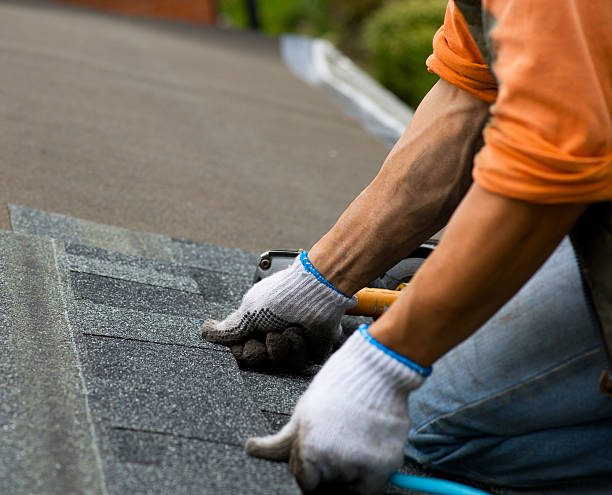 Best New Roof Installation  in Livonia, MI