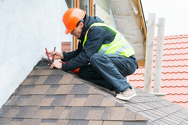 Best Roof Repair Services  in Livonia, MI